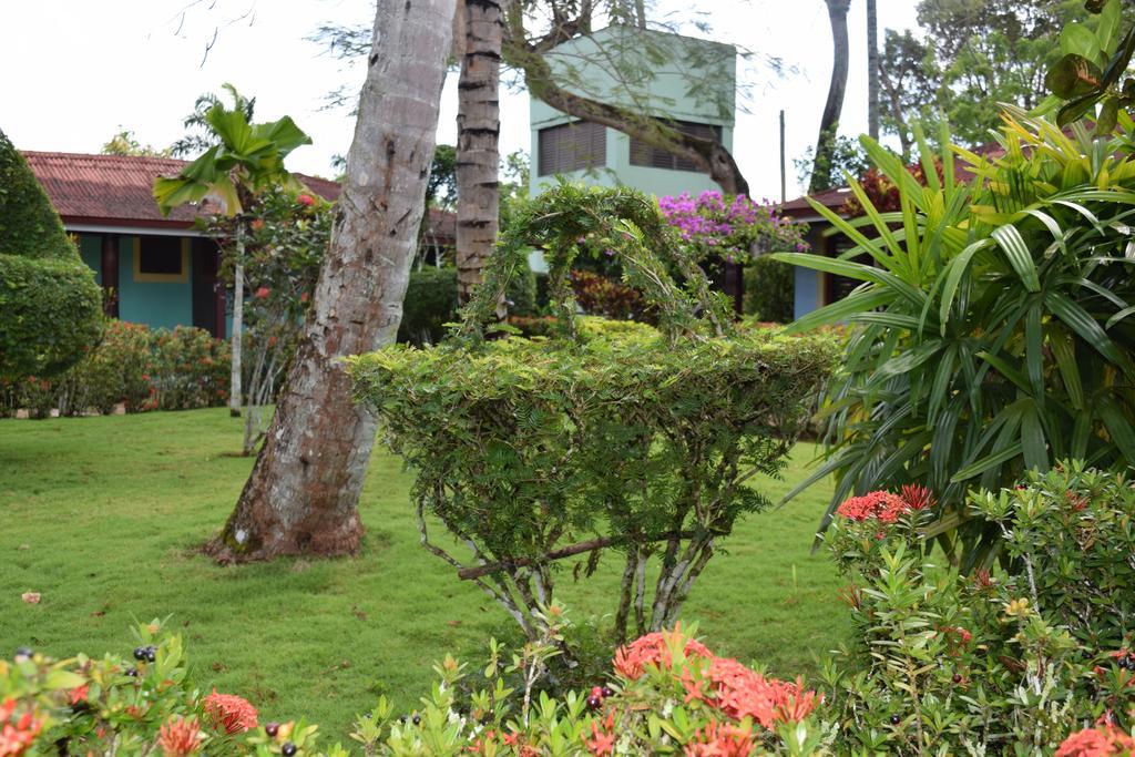 Hotel Palococo Las Terrenas Exterior photo