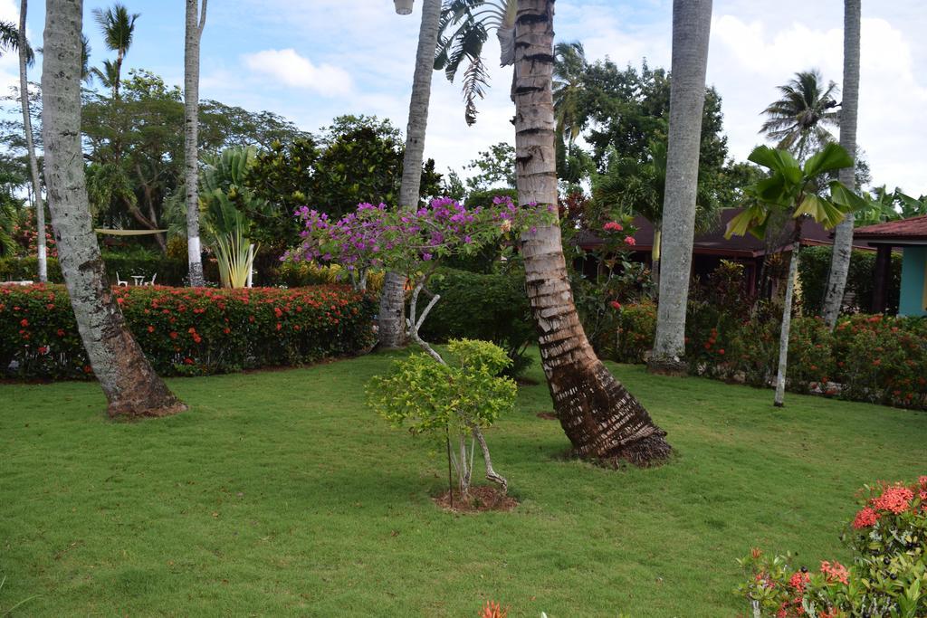 Hotel Palococo Las Terrenas Exterior photo