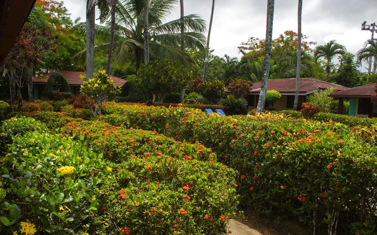 Hotel Palococo Las Terrenas Exterior photo